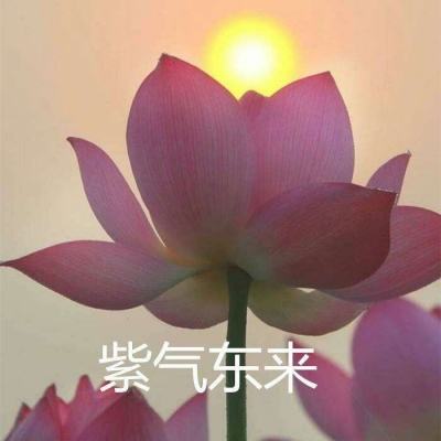 春秋霸业手游下载
